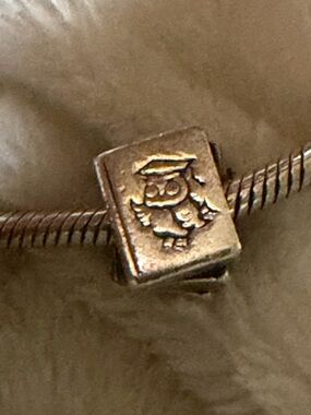 Authentic Pandora Charm Study Books Graduation Owl Sterling Silver